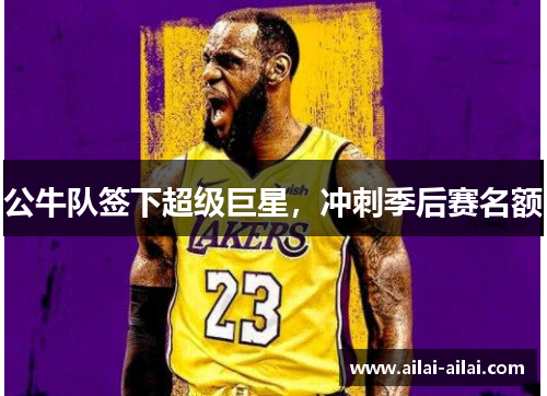 公牛队签下超级巨星，冲刺季后赛名额
