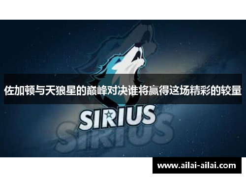 佐加顿与天狼星的巅峰对决谁将赢得这场精彩的较量