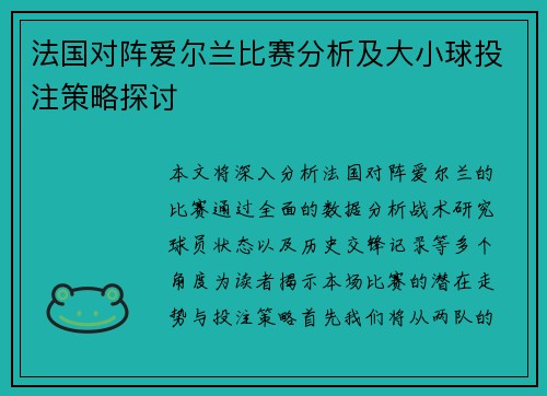 法国对阵爱尔兰比赛分析及大小球投注策略探讨